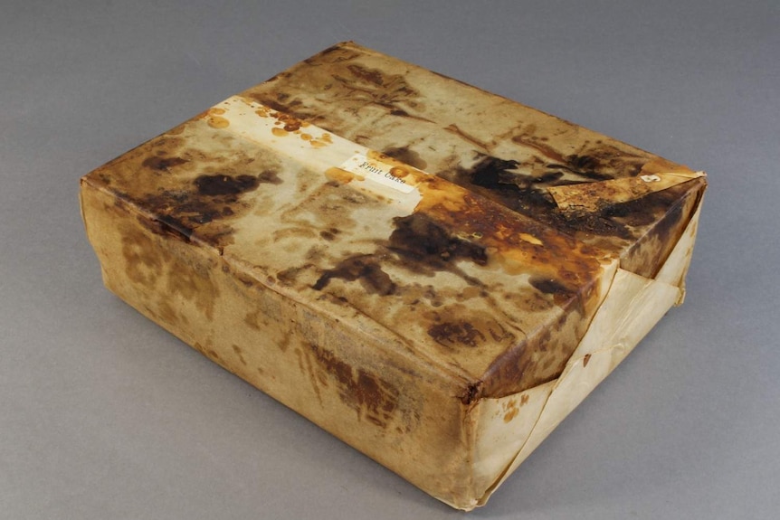 Hundred-year-old fruitcake wrapped in paper.