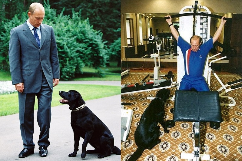 A composite image of Putin and his black dog