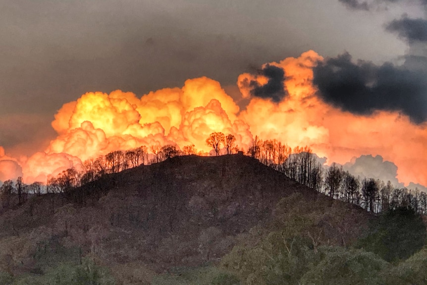 A hill with trees on fire and black smoke in the sky.