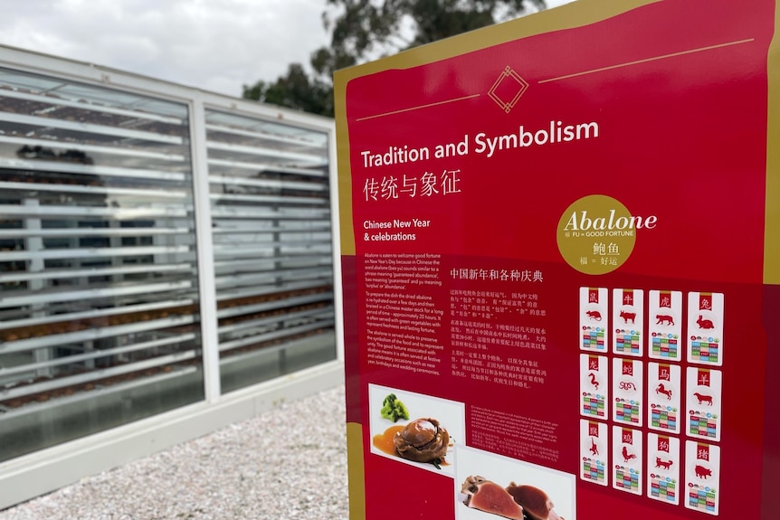 Abalone signage for Chinese tourists