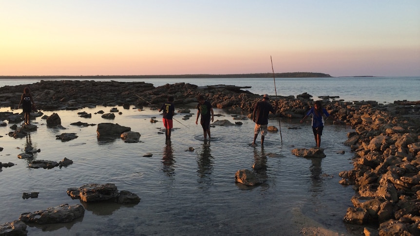 A traditional fish trap of the Bardi Jawi people near One Arm Point, north of Broome.