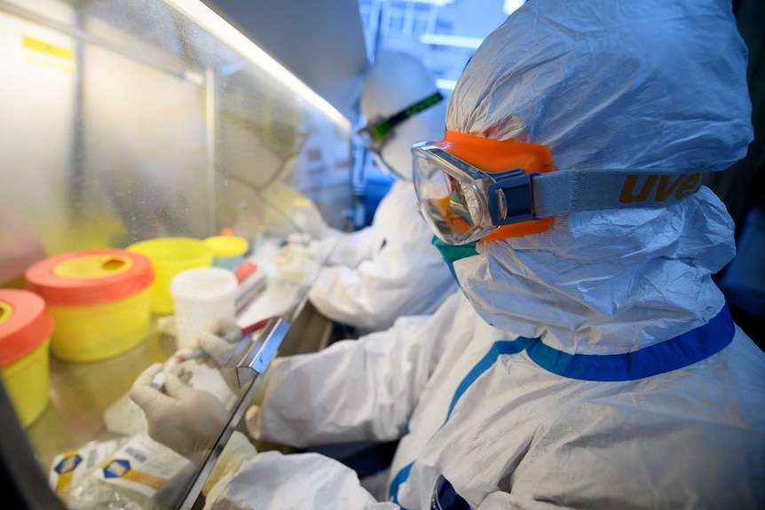 Workers in protective suits hold specimens in their hands in a laboratory