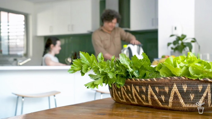 Man and girl in background at kitchen bench with basket of green salad vegetables in the foreground.