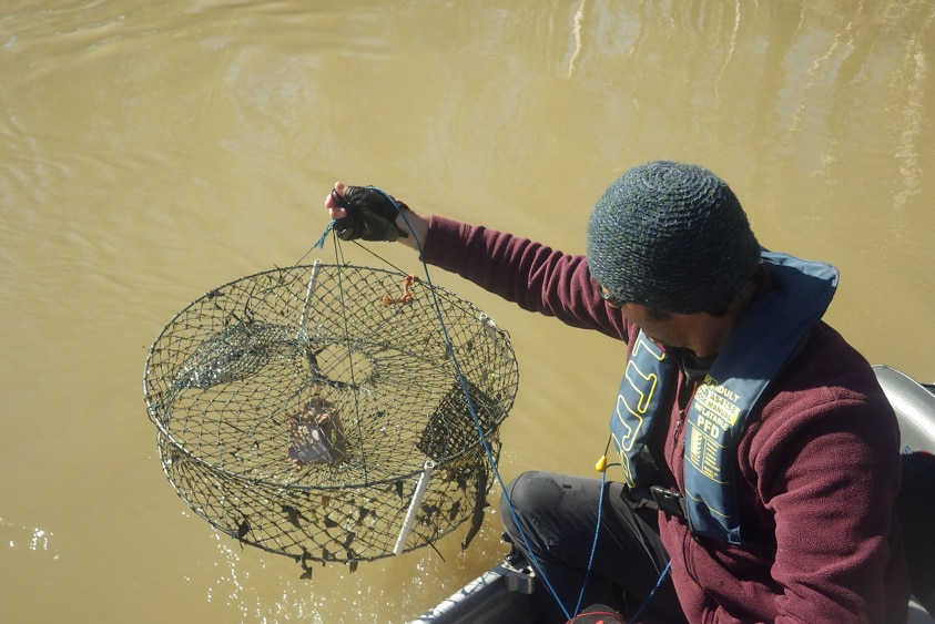 A fisherman pulls out an empty net.