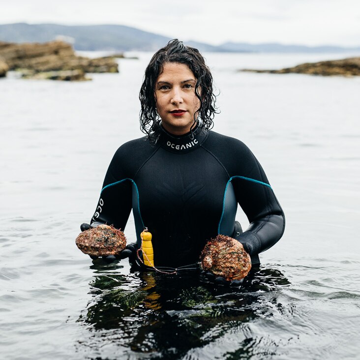 Woman in wetsuit, wait-deep in water, holding abalone.