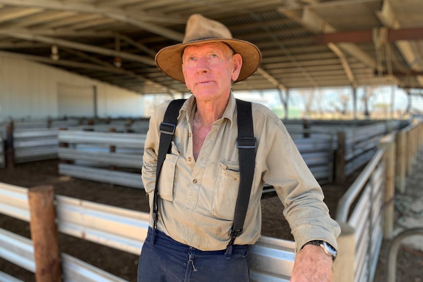 A male farmer in a sheep shed looking past the camera.