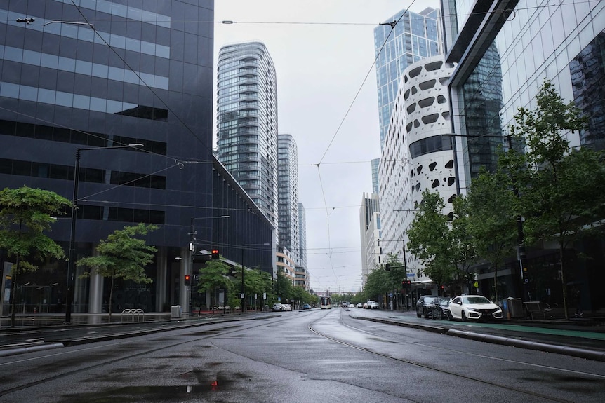 A tree-lined street surrounded by high-rise buildings with no cars or pedestrians in sight.