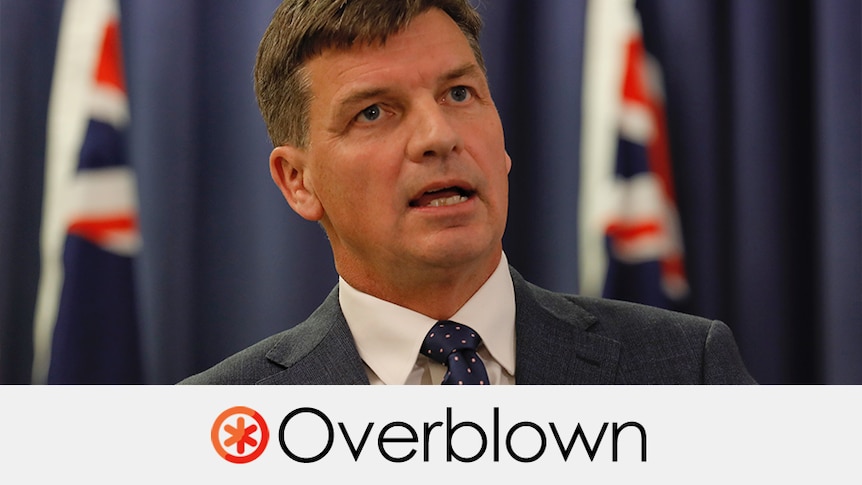 A tight headshot of angus taylor wearing a suit speaking in front of two Australian flags. Verdict: OVERBLOWN