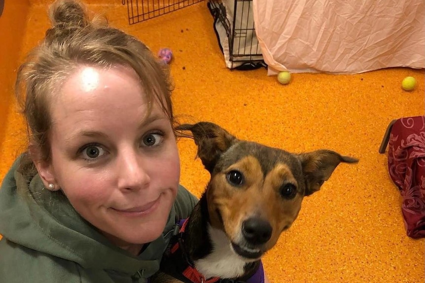 Christine O'Brien with a dog at the RSPCA, where she works.