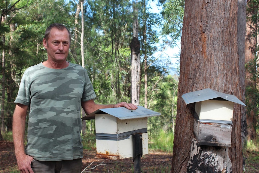 A man standing with two native bee hives.
