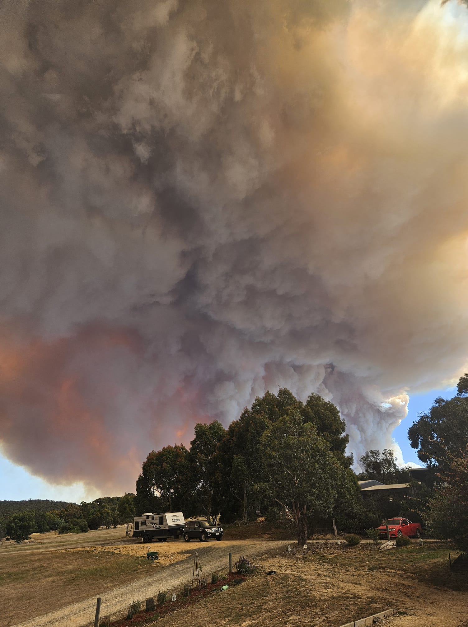 A billowing cloud of smoke rising behind trees,