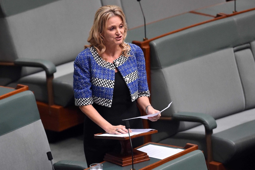 Melissa Parke stands as she speaks in the House of Representatives at Parliament House in Canberra.