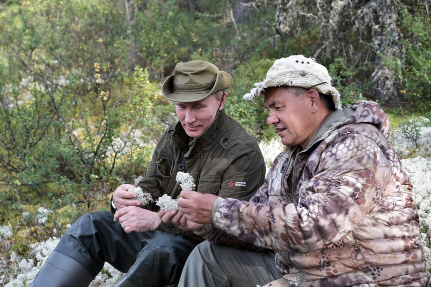 Vladimir Putin and Sergei Shoigu sitting together, dressed in camo gear, inspecting mushrooms