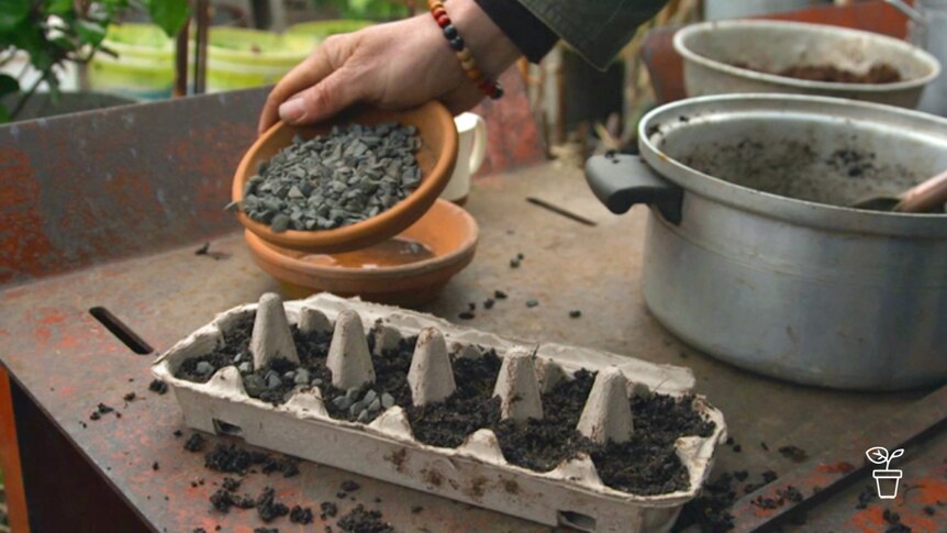 Soil and gravel being placed in egg carton spaces