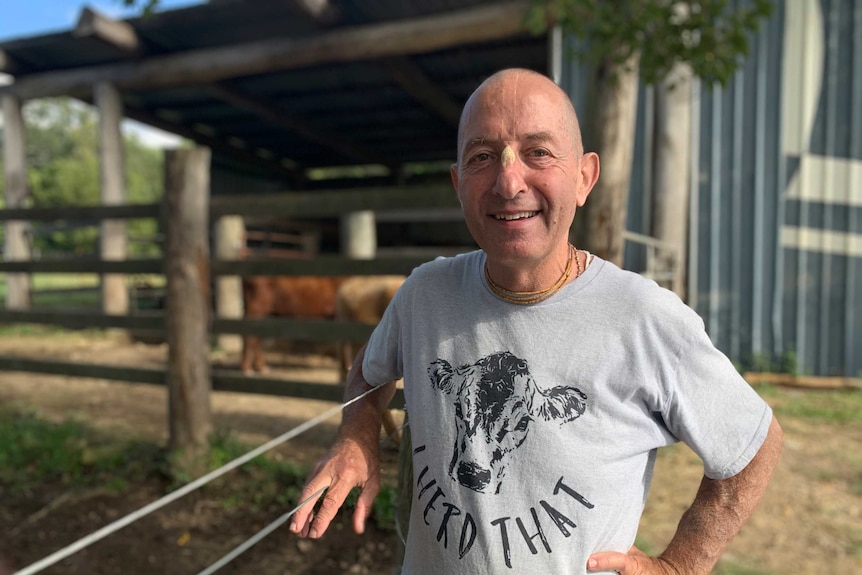 Krsna Kirtana cow and bullock carer and trainer at Hare Krishna farm near Murwillumbah in northern New South Wales