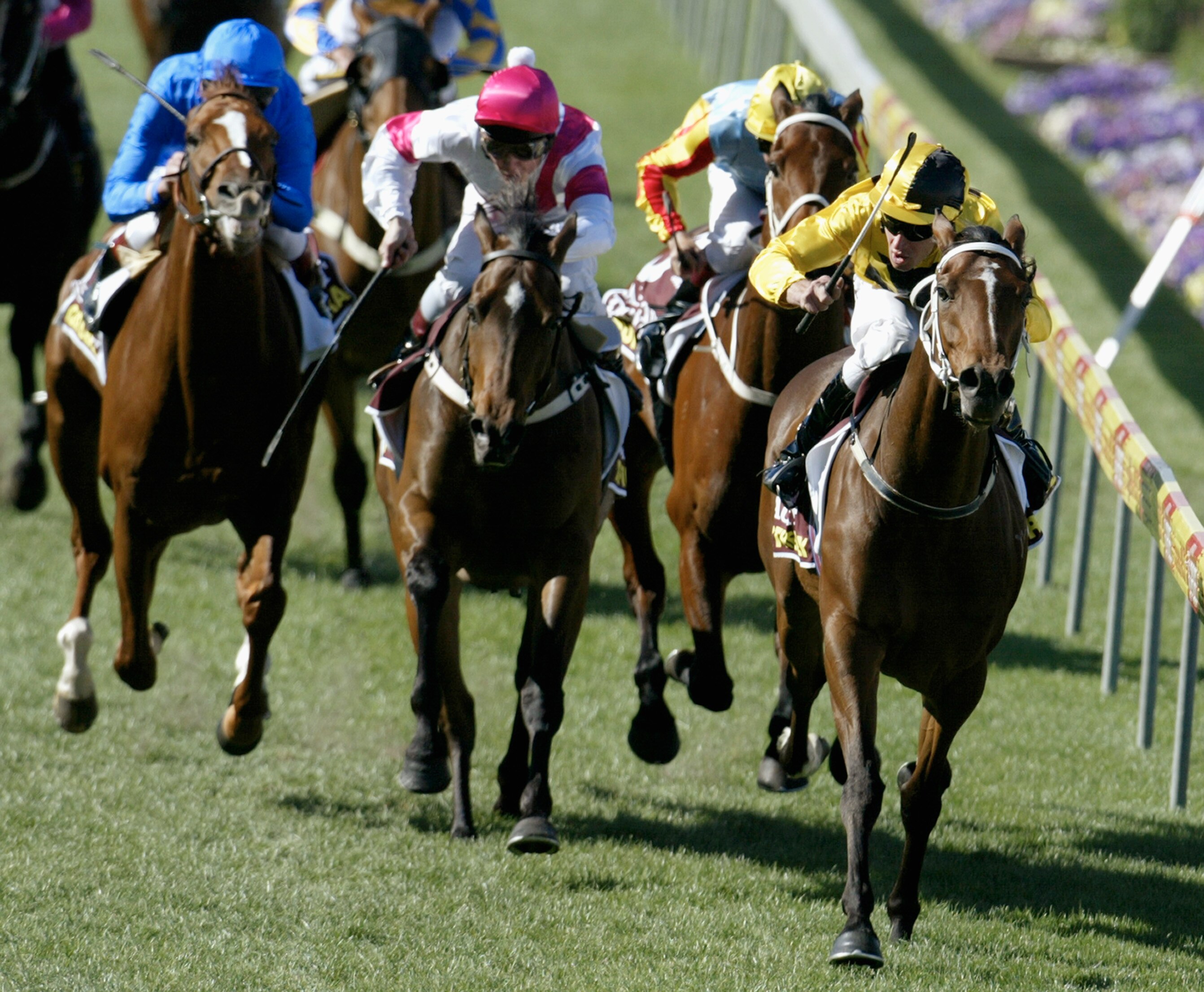 Racing loses two champions within a week - ABC News