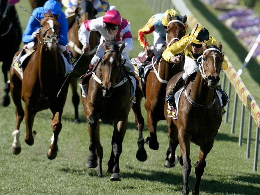 Northerly wins 2002 Cox Plate