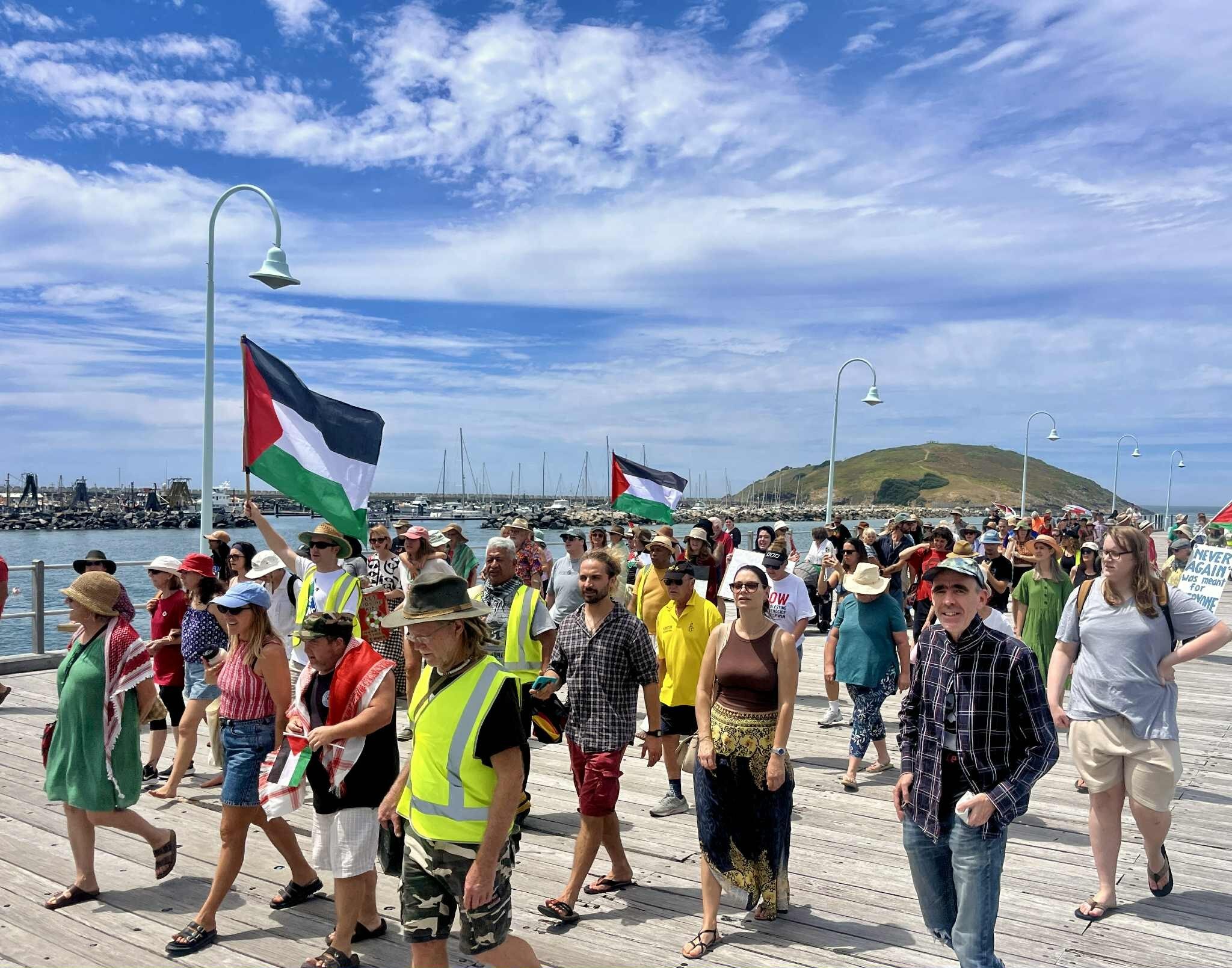 Pro-Palestinian protesters gather in Coffs Harbour with flags and some with signs