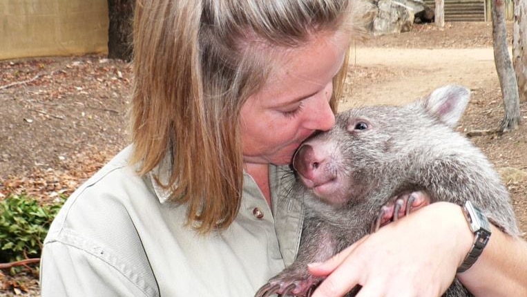 Tonka the wombat dies