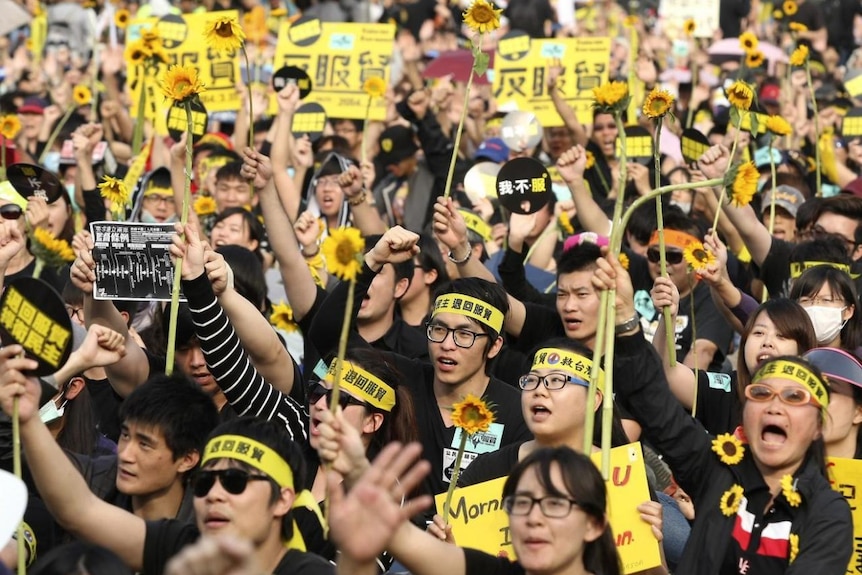 Sunflower Movement protesters in Taiwan