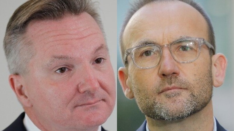 A composite image of Chris Bowen on the left and Adam Bandt on the right