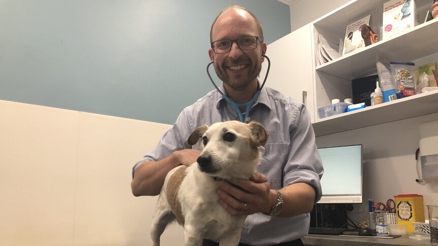 Vet Lewis Kirkland wears a stethoscope and attends to a Jack Russel on a vet table while smiling at the camera.