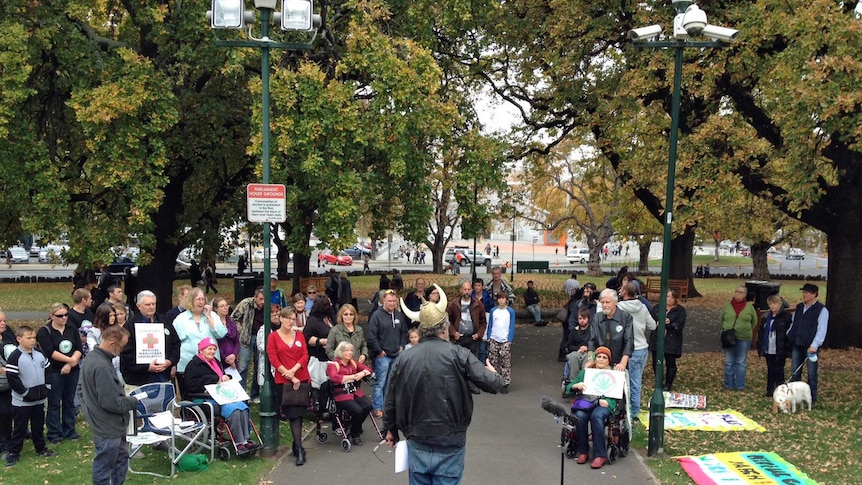 Medical cannabis rally on Parliament House Lawns, Hobart