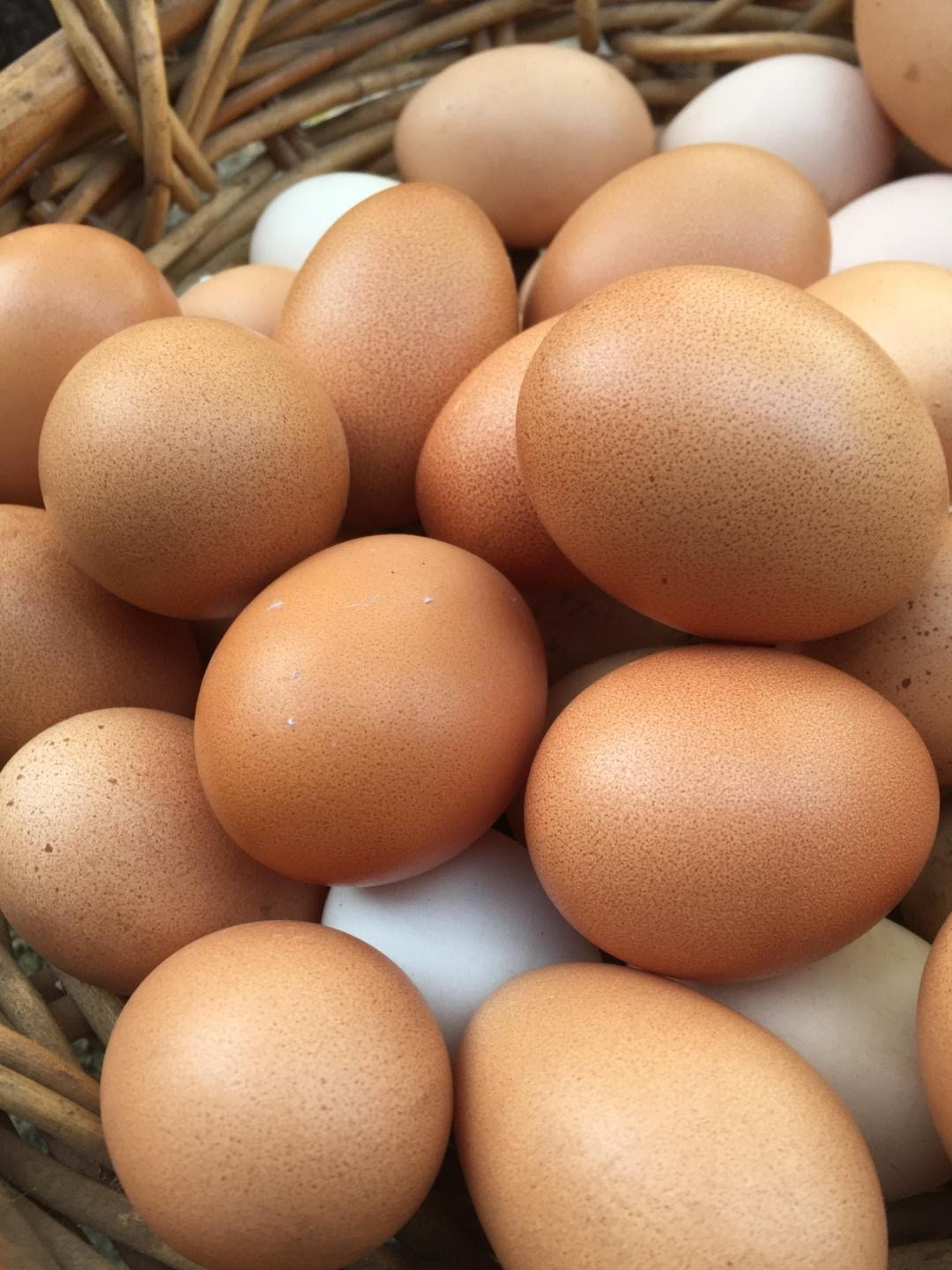 a pile of eggs