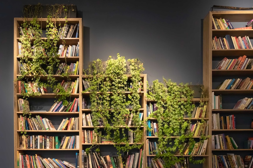Bookshelf with ivy