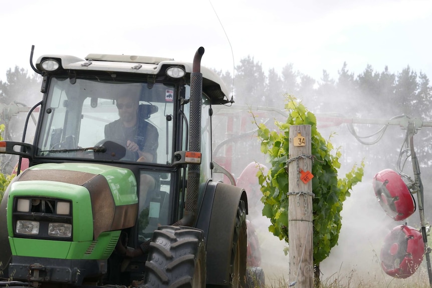 A machine sprays a fine mist onto a vineyard