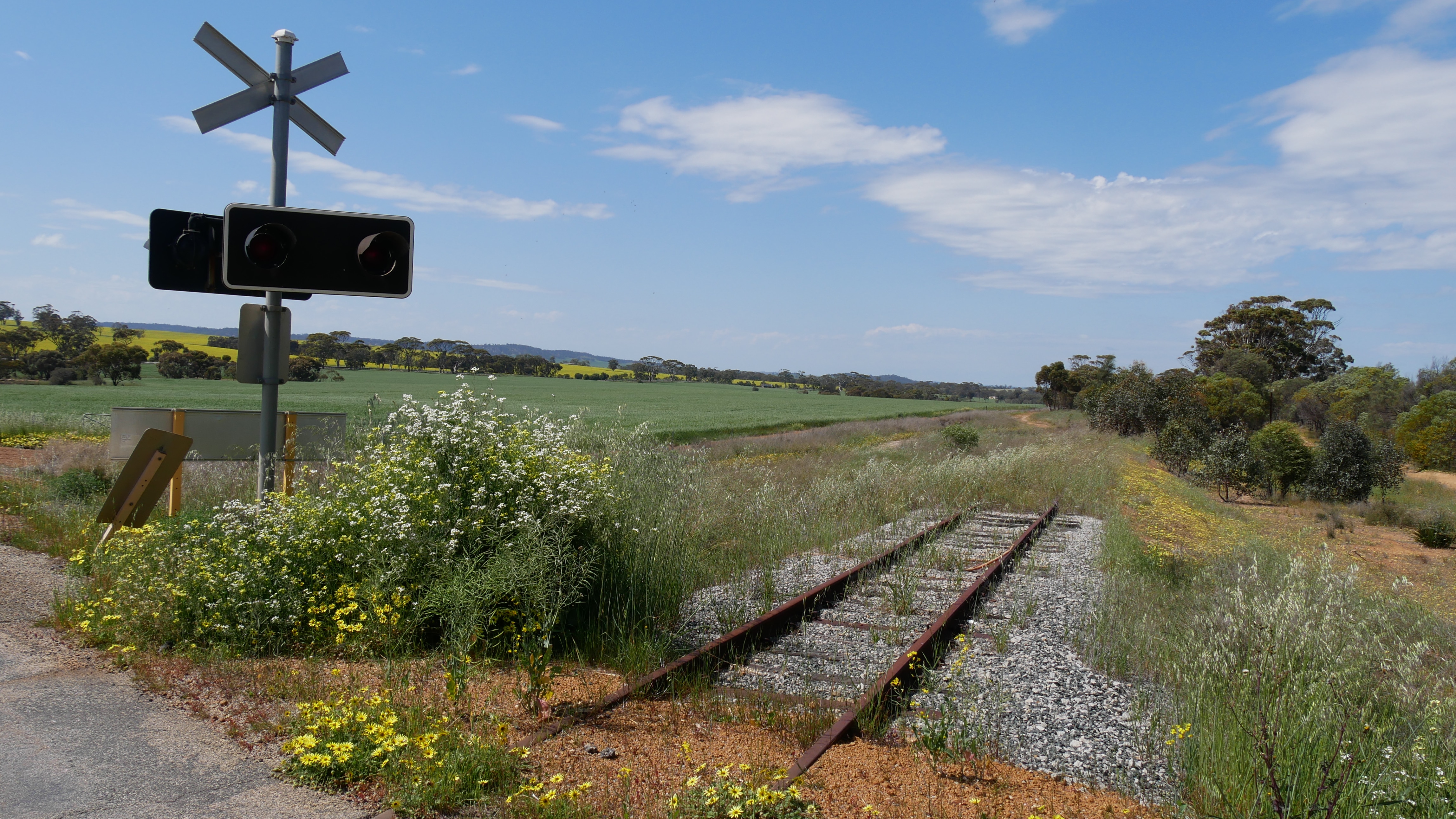 Will making WA's freight rail network public be cost-effective?