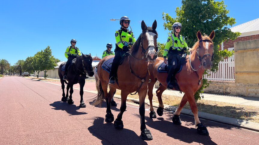 Four mounted police officers and horses walk along a street with houses in the background.