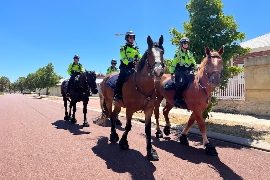 Four mounted police officers and horses walk along a street with houses in the background.