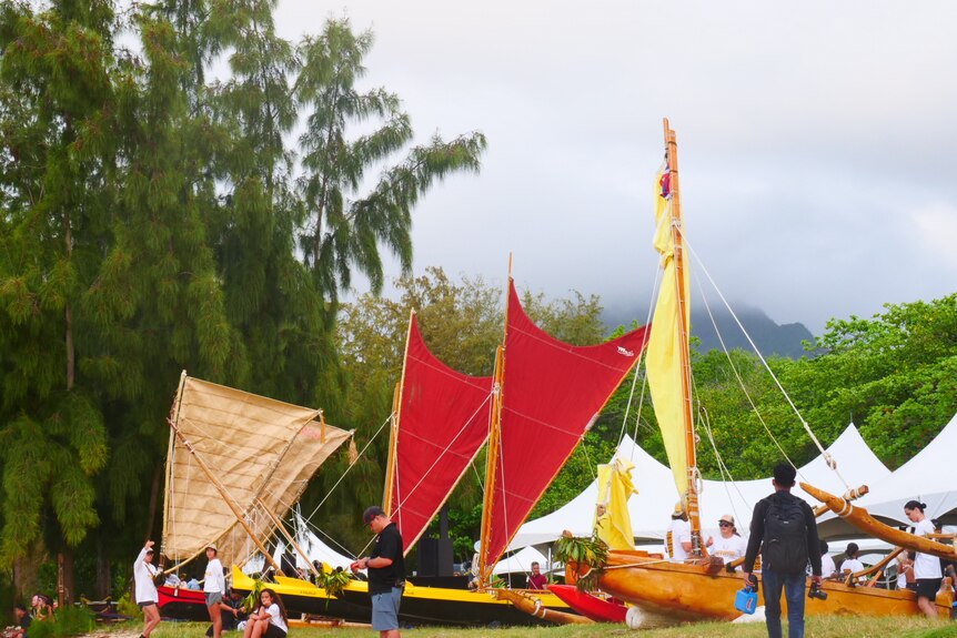 A number of traditional canoes sit on a grassy bank behind the shore. They have colourful sails.