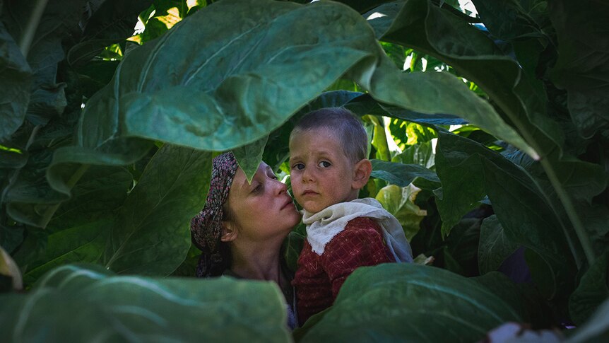 Colour still of a woman carrying a child among green leafy crops in 2018 film Happy as Lazzaro.