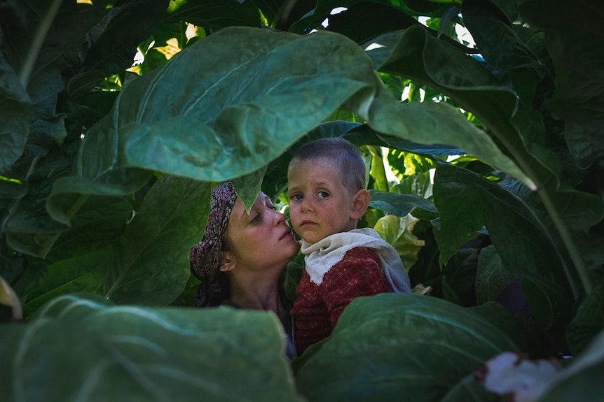 Colour still of a woman carrying a child among green leafy crops in 2018 film Happy as Lazzaro.