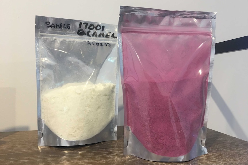 Freeze dried camel milk and milled dragon fruit skin