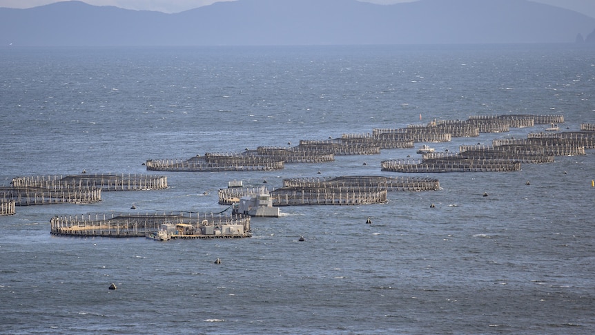 Salmon pens out in the ocean