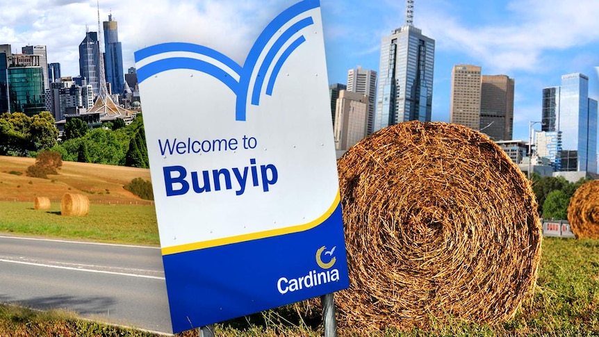 Graphic of Bunyip sign and Melbourne city skyline.