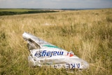 A piece of plane wreckage bearing the Malaysia Airlines livery in a field.