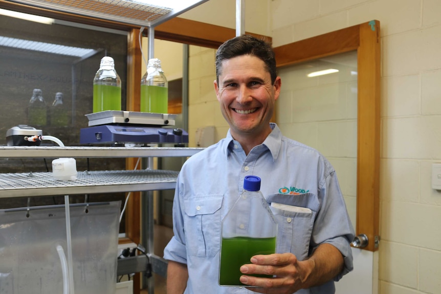 Tom Woods holds a bottle of green liquid containing algae which is the starter for the ponds.