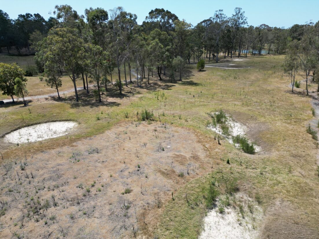 Weeds growing out of the putting greens at the former Arundel Hills Country club