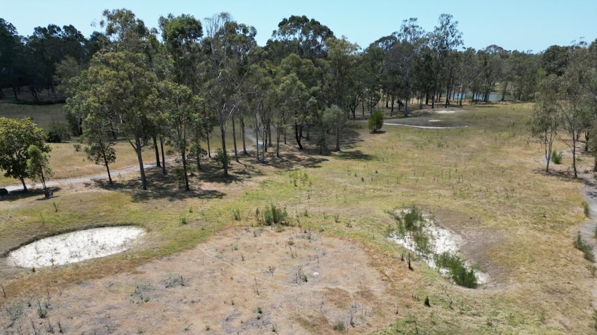 Sexy Cut Land Video - Defunct Gold Coast golf club is empty land in middle of city grappling with  housing crisis - ABC News