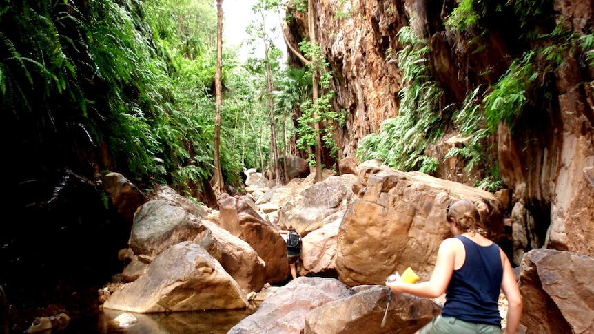People climb a gorge in the Kimberley.