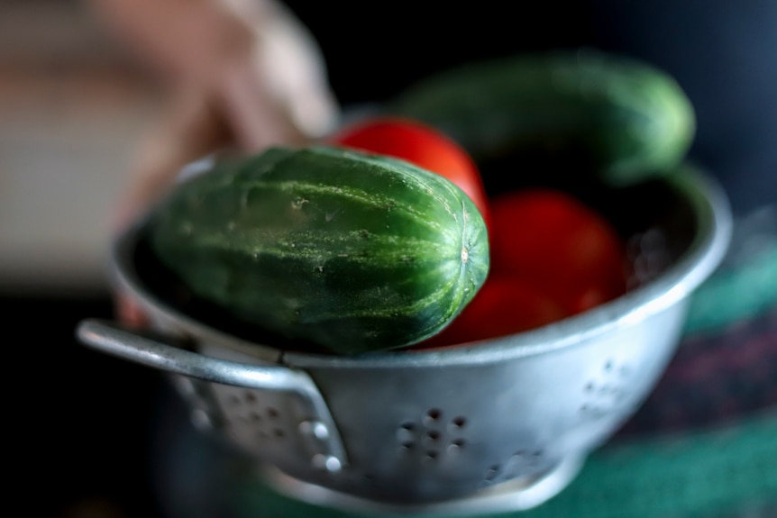 A colander of zucchinis and tomatoes