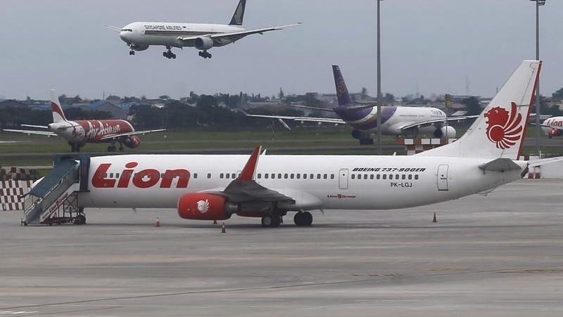 An image of a Lion Air aeroplane parked at the tarmac of Soekarno-Hatta airport in Jakarta in 2015.