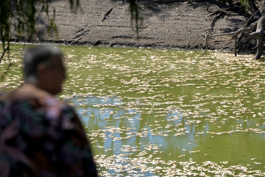 a woman standing next to the river which is covered with dead fish