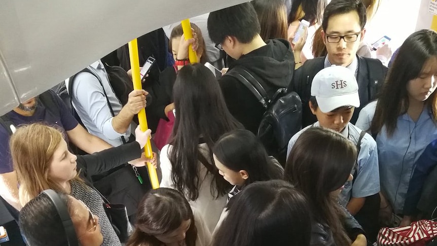 People crowd together on a train