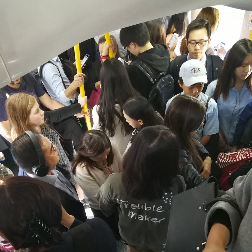 People crowd together on a train