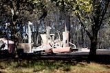 The burnt out shell of a home , surrounded by blackened trees.